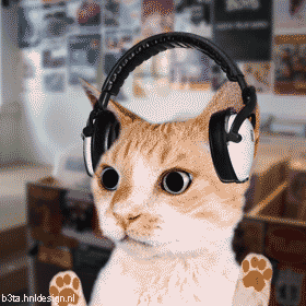 Cat In Headphones