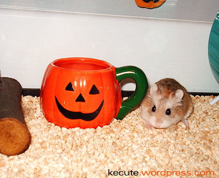 funny hamsters. Robo Hamster Halloween